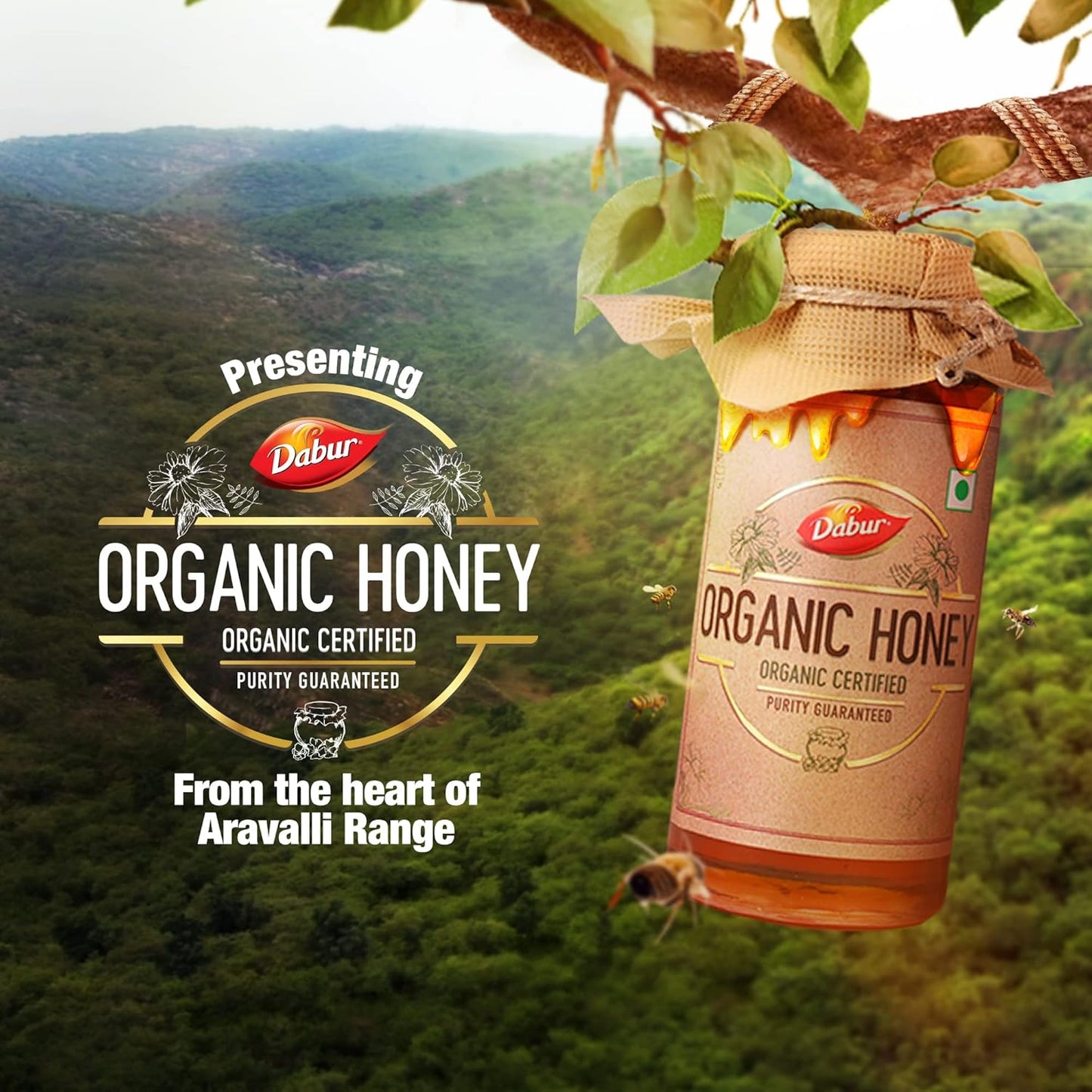Dabur Raw Organic Honey, 500 gm