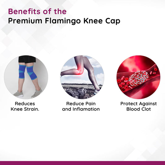 Flamingo Premium Knee Cap (Pair) Color-Blue | Size-M