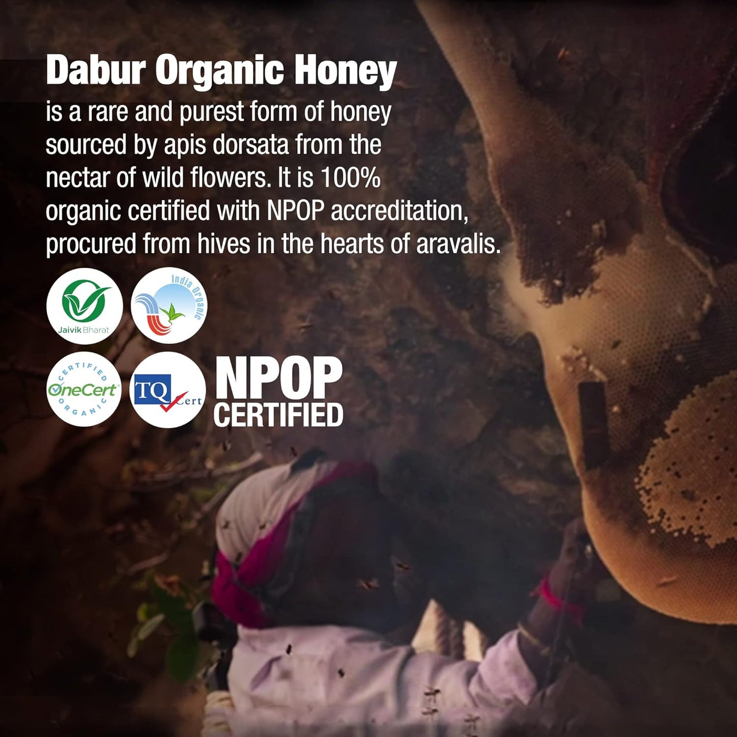 Dabur Raw Organic Honey, 500 gm