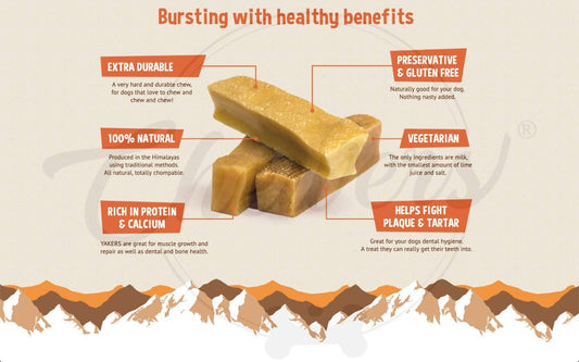 Chewers Mountain Dog Chew Himalayan Yak Milk Dental Bar, Medium Dogs, 200 gm
