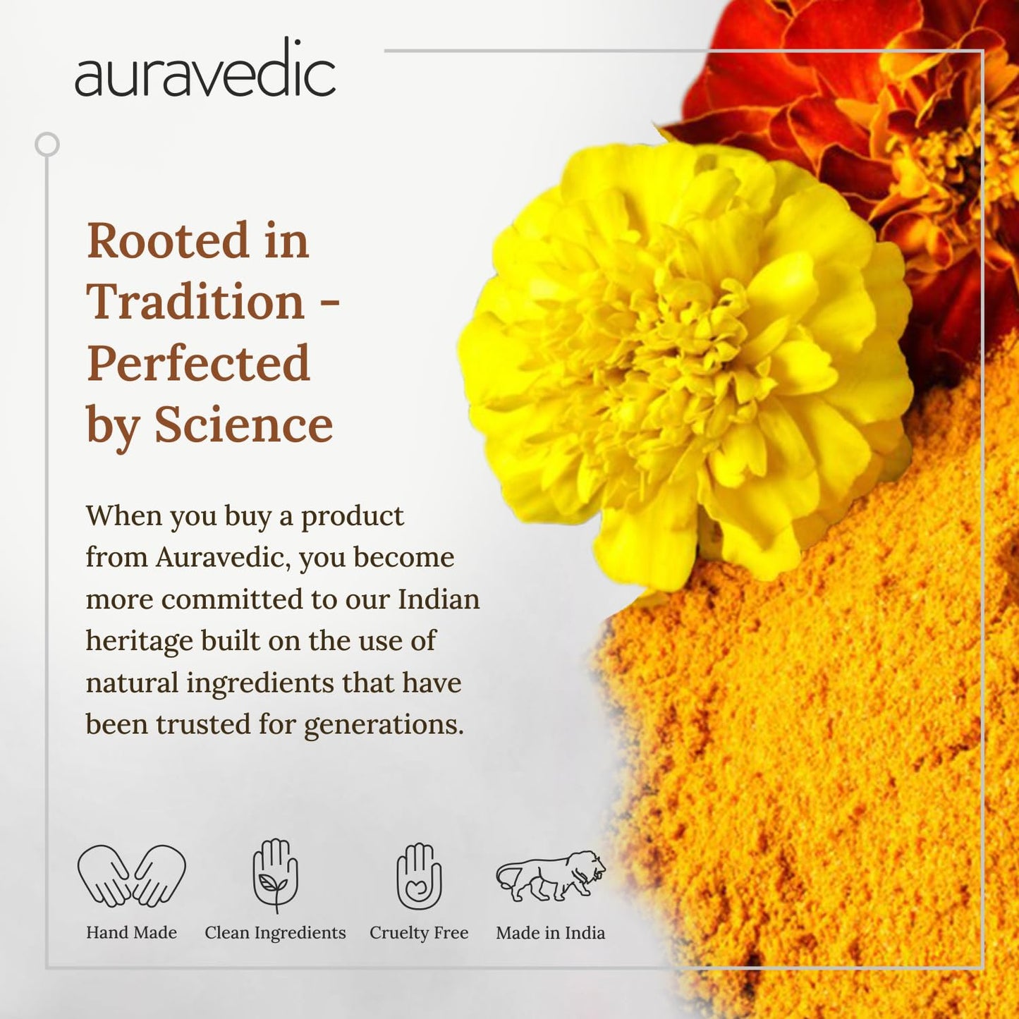 Auravedic Kumkumadi Oil For Face 100 Ml, Pack of 3, Kumkumadi Tailam Face Oil For Glowing Skin, Dark Spot Corrector Face Serum