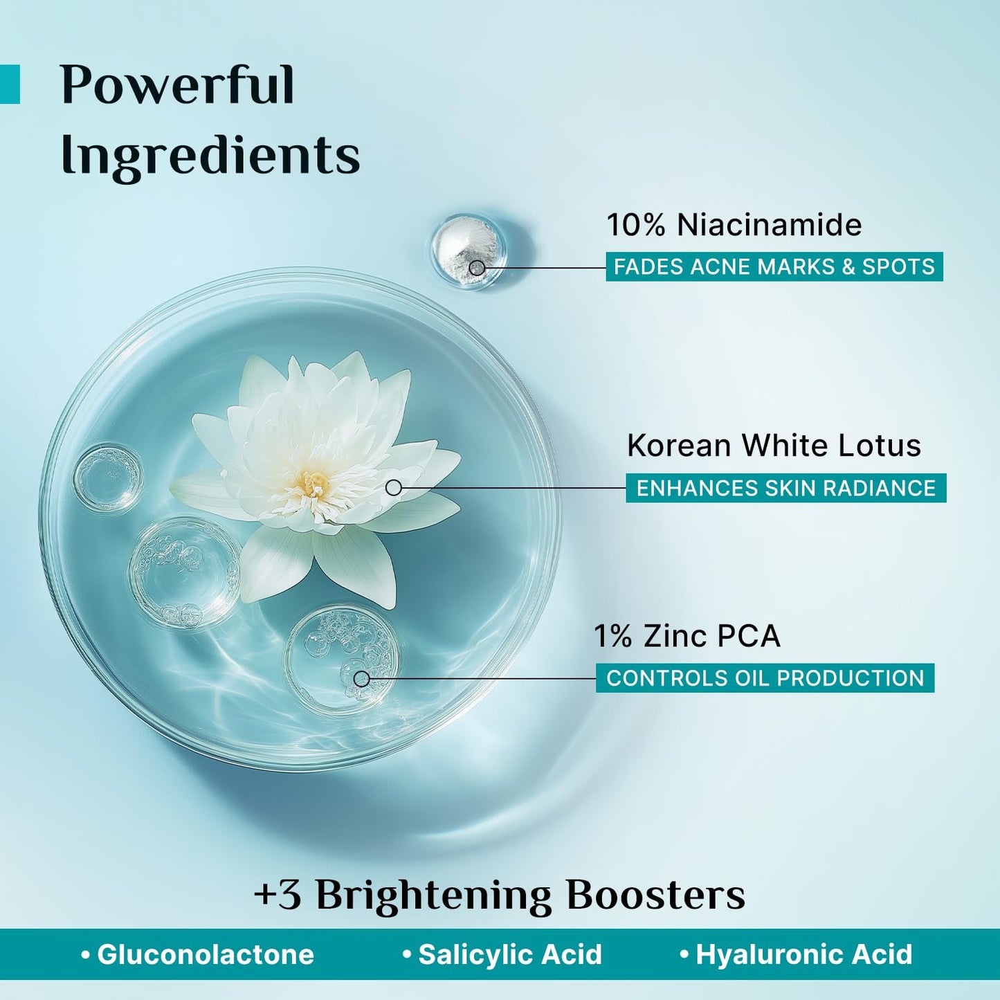 Pilgrim 10% Niacinamide Serum 30ml For Acne Marks|With 1% Zinc PCA, Salicylic & Hyaluronic Acid|Niacinamide Serum For Oily Skin, Acne-Prone, Combination, Normal Skin|Oil Control, Anti-Acne|Women & Men
