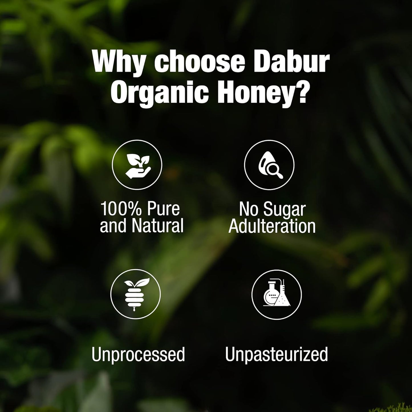 Dabur Raw Organic Honey, 500 gm