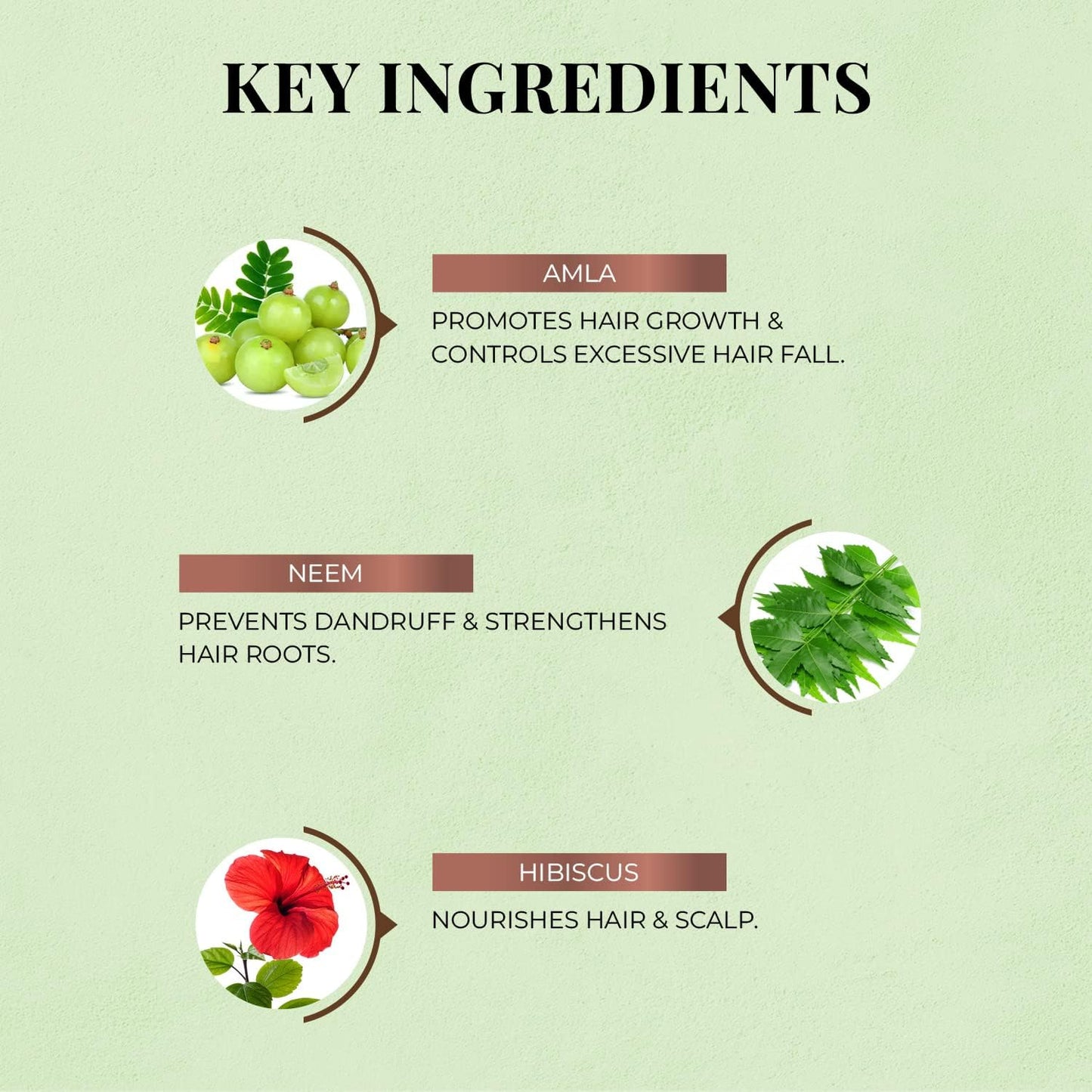 Just Herbs 8 In 1 Root Nourishing Amla Neem Hair Fall Control Shampoo, 200 ml