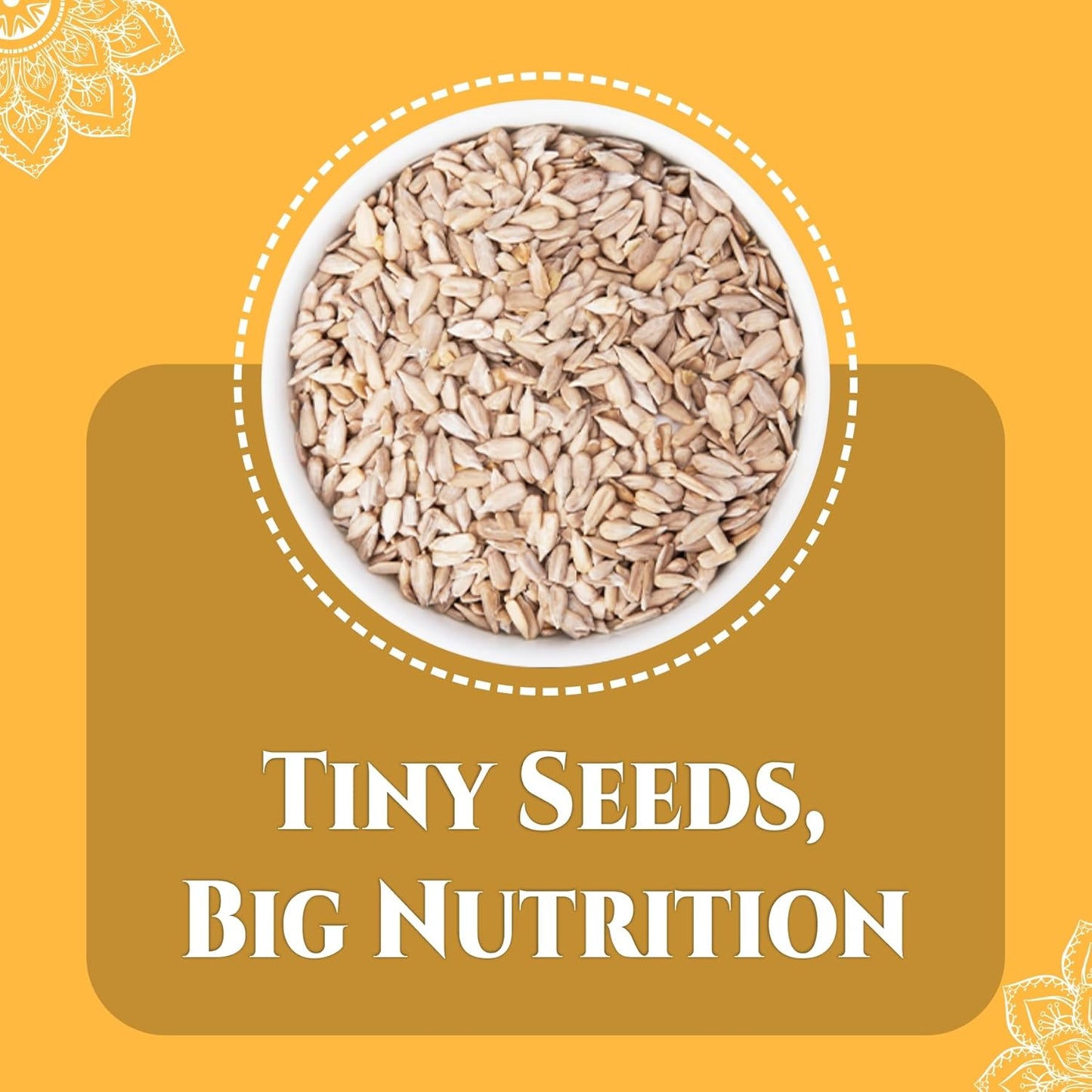 Bralcon Organic Seeds Combo (Sunflower Seeds- 100 gm, Pumpkin Seeds -100 gm)