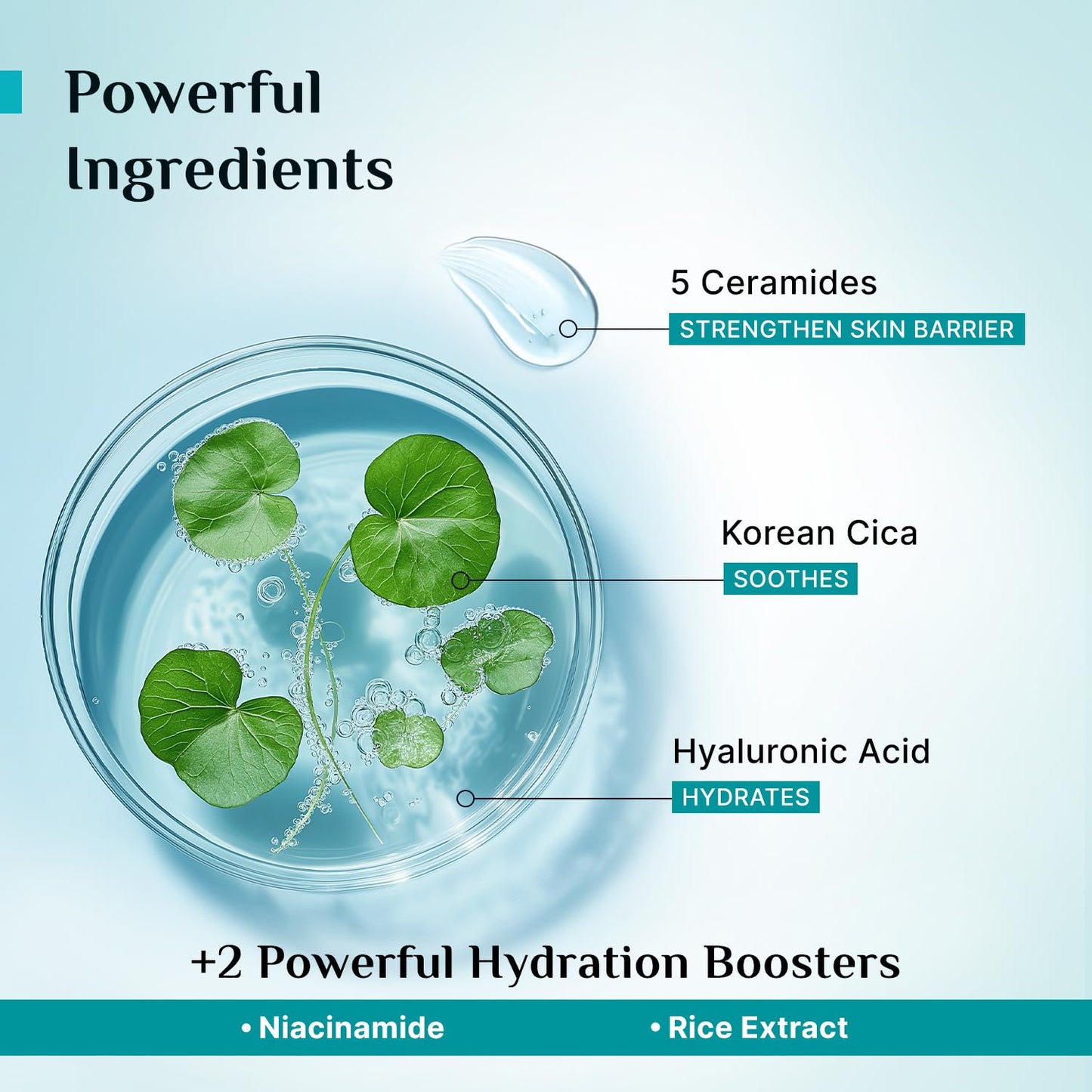 Pilgrim 5 Ceramides Moisturizer for Face, 100 gm