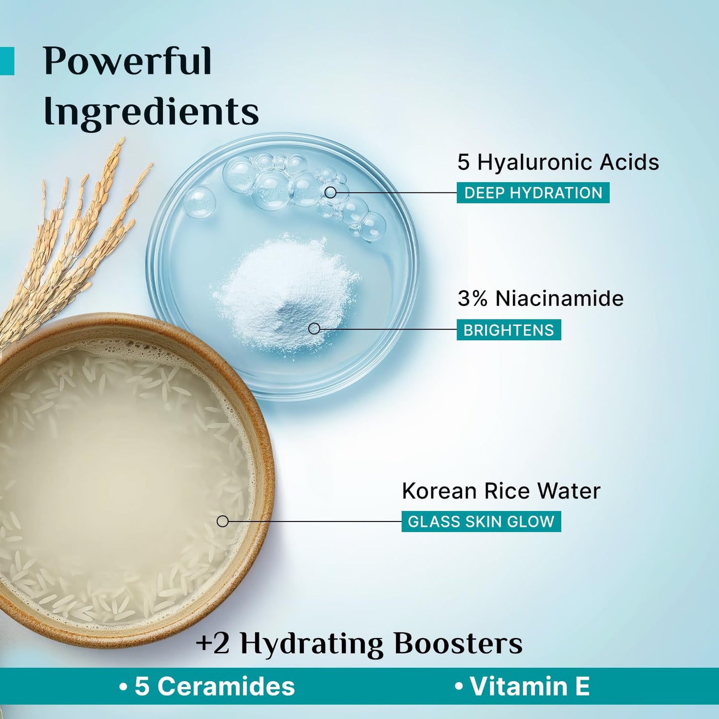 Pilgrim Korean Rice Water Hydra Glow Moisturizer 100Gm with 5 Hyaluronic Acids, 3% Niacinamide, 5 Ceramides | 5x Hydration & Instant Glass Skin