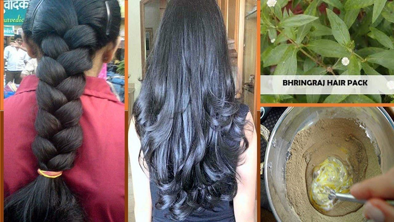 Online Quality Store raw bringaraj/bringraj dry leaves/Bhringraj Leaves/Bhangra 100 g