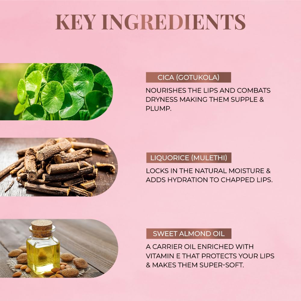 Just Herbs Ayurvedic Liquid Lipstick Kit Set of 5, Deeps & Reds, 5 ml