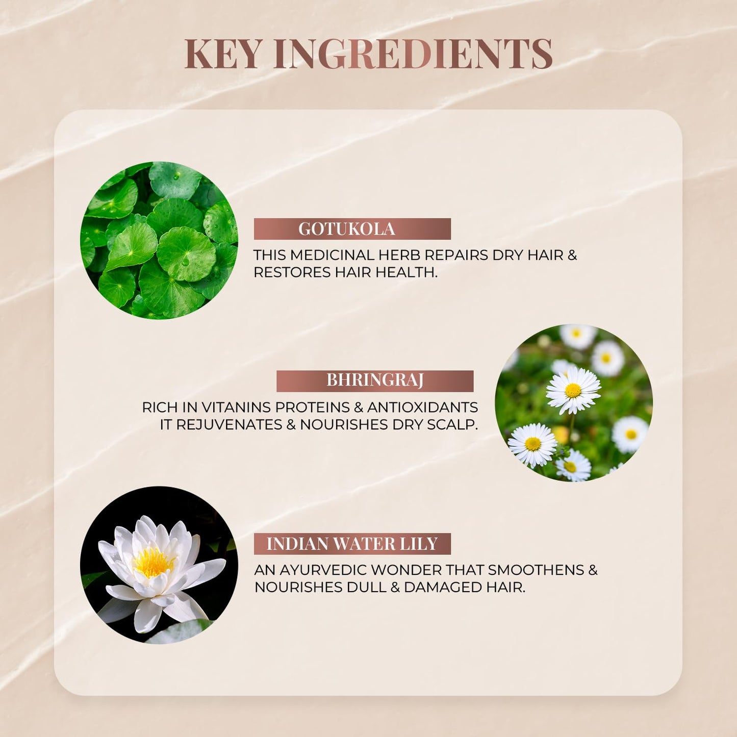 Just Herbs Kumuda Indian White Water Lily Conditioner , 200 ml