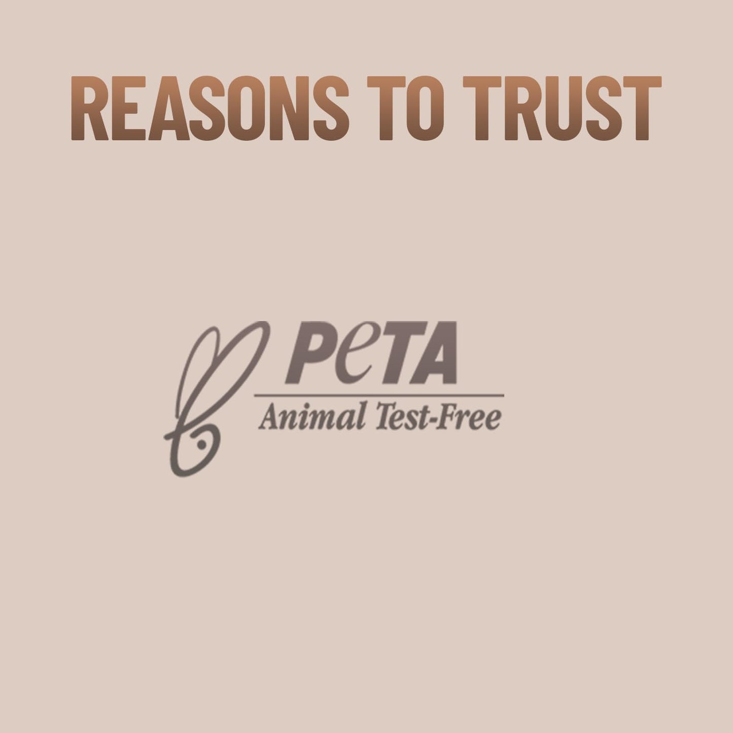 Swiss Beauty Professional Face & Eye Brush Set of 6 with Synthetic Fibres and Easy Blending