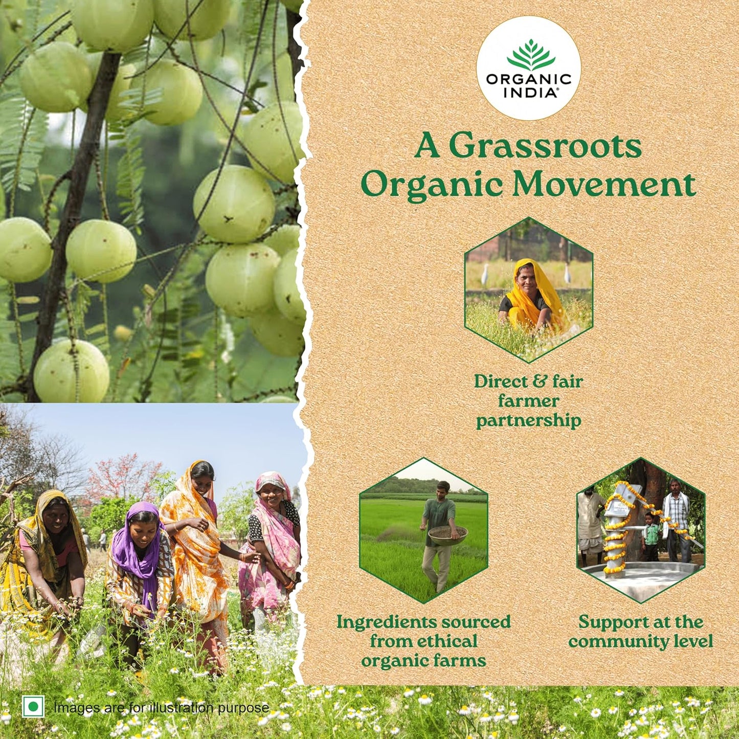 Organic India Isabgol Whole Psyllium Husk Powder, 100 gm