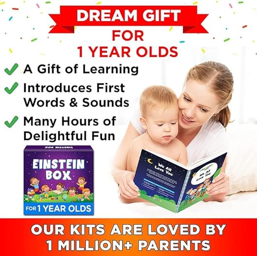 Einstein Box For 1 Year Old Boys/Girls | Toys | Board Books And Pretend Play | Learning And Educational Toys & Games (1 Box Set) (Medium Multicolor)