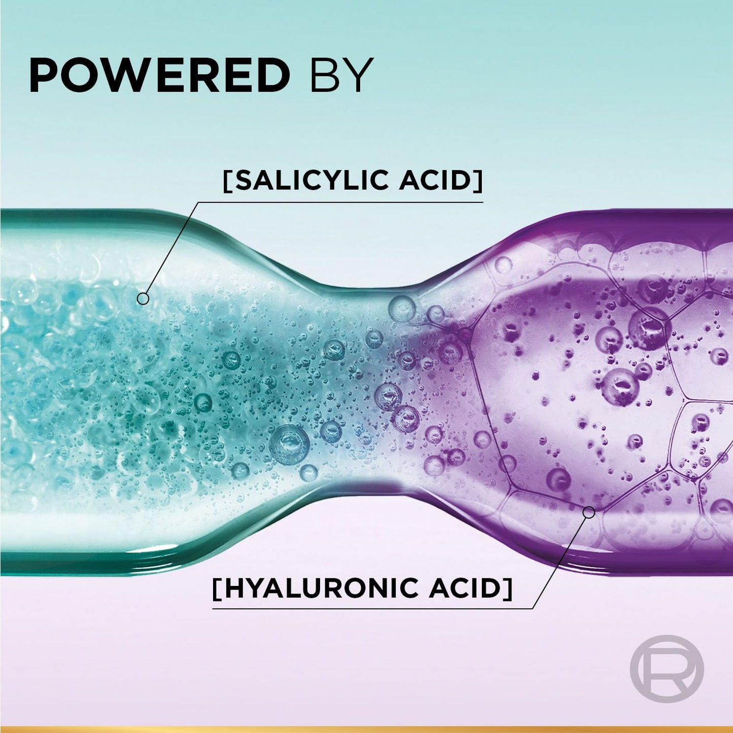 Loreal Paris Hyaluron Pure 72H Purifying Shampoo, 800 ml