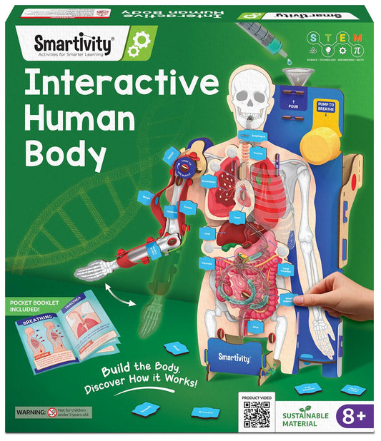 Smartivity Interactive Human Body Model for Kids 8-14 Years I Dynamic Body Parts & Organs + Learning Booklet