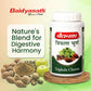 Baidyanath Triphala Churna Powder - 400gm