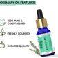 Rey Naturals Rosemary Essential Oil For Hair Growth, Skin And Aroma - 15ml