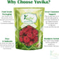 Yuvika Gule Anar - Anar Ka Phool - Punica Granatum - Pomegranate Flower, 100 gm