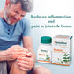 Himalaya Wellness Shallaki Bone & Joint Wellness | Reduces pain and inflammation | Tablets - 60 Count, White