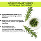 Alps Goodness Rosemary Water Spray For Hair Growth ,200 ml