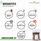 Attar Ayurveda Pure Kutki root for Liver - Katuki - Picrorhiza Kurroa (100 grams) | Preservative-free , Chemcial- free