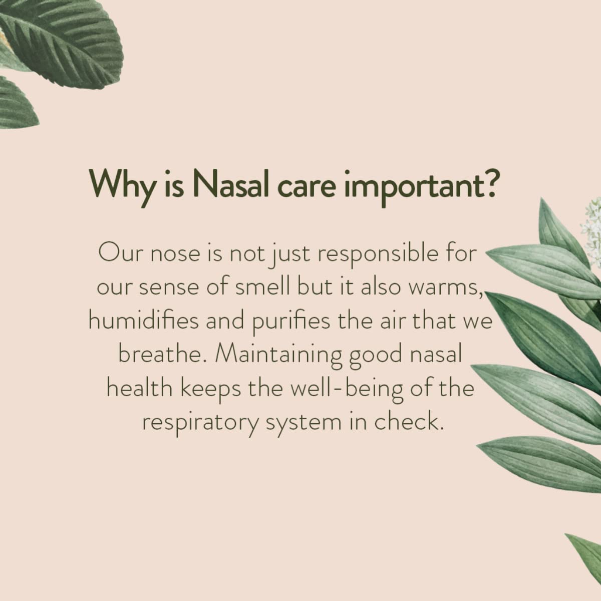 Age Ayurveda Nasja oil 30 ml Nasal Drop for Dry Nose Unblocked Nasal Congestion Sinusitis Allergies | Health And Nasal Immunity (Pack of 1)