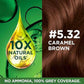 Garnier Natural Hair Colour (Caramel Brown,70ml + 60g)