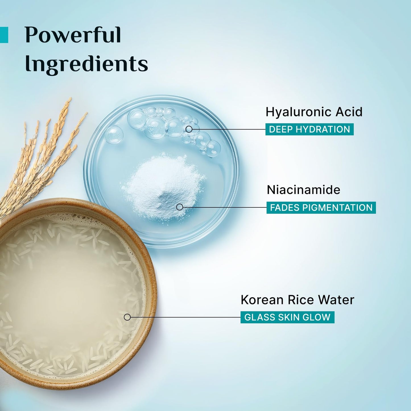 Pilgrim Korean Rice Water Hydra Glow Face wash, Niacinamide, Hyaluronic Acid 100 ml