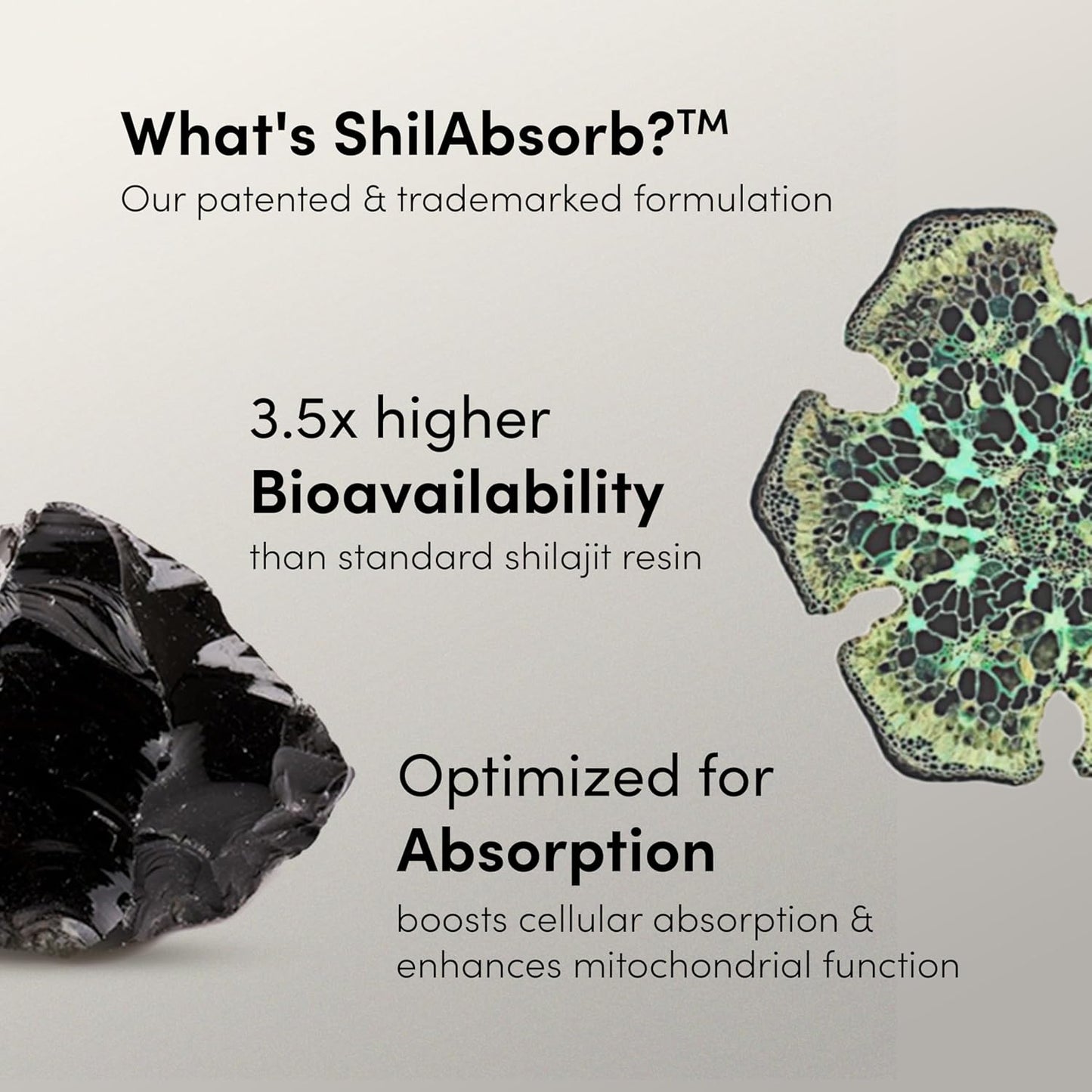 Man Matters Pure Himalayan Shilajit/Shilajeet Gummies with 75% Fulvic Acid & KSM 66 Ashwagandha, 60 Cap.