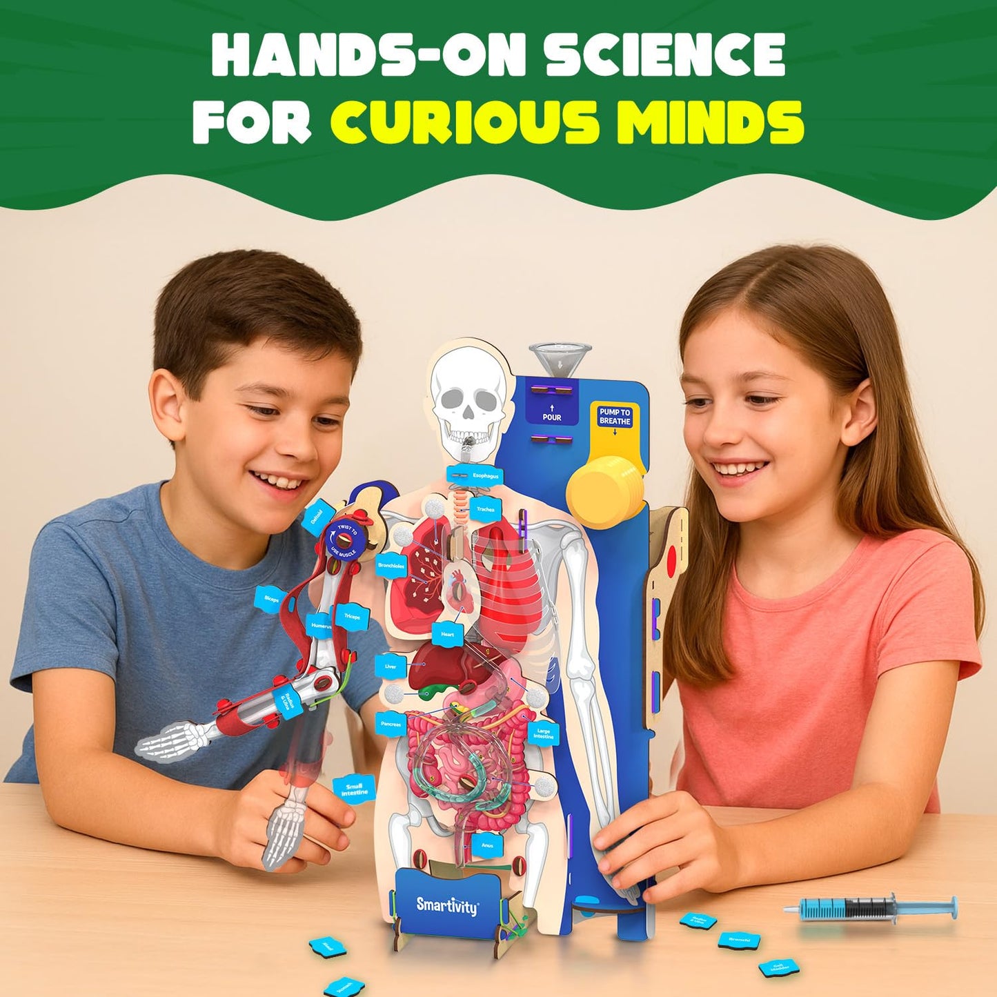 Smartivity Interactive Human Body Model for Kids 8-14 Years I Dynamic Body Parts & Organs + Learning Booklet