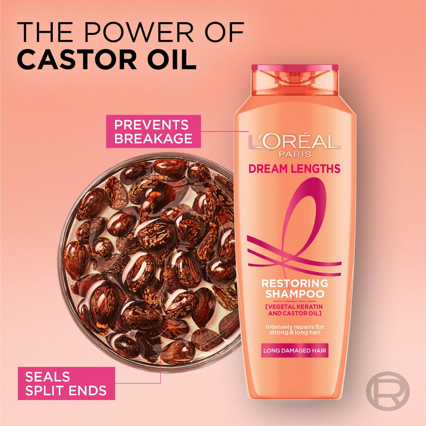 Loreal Paris Shampoo, Nourishes, Repair & Shine, 340 ml