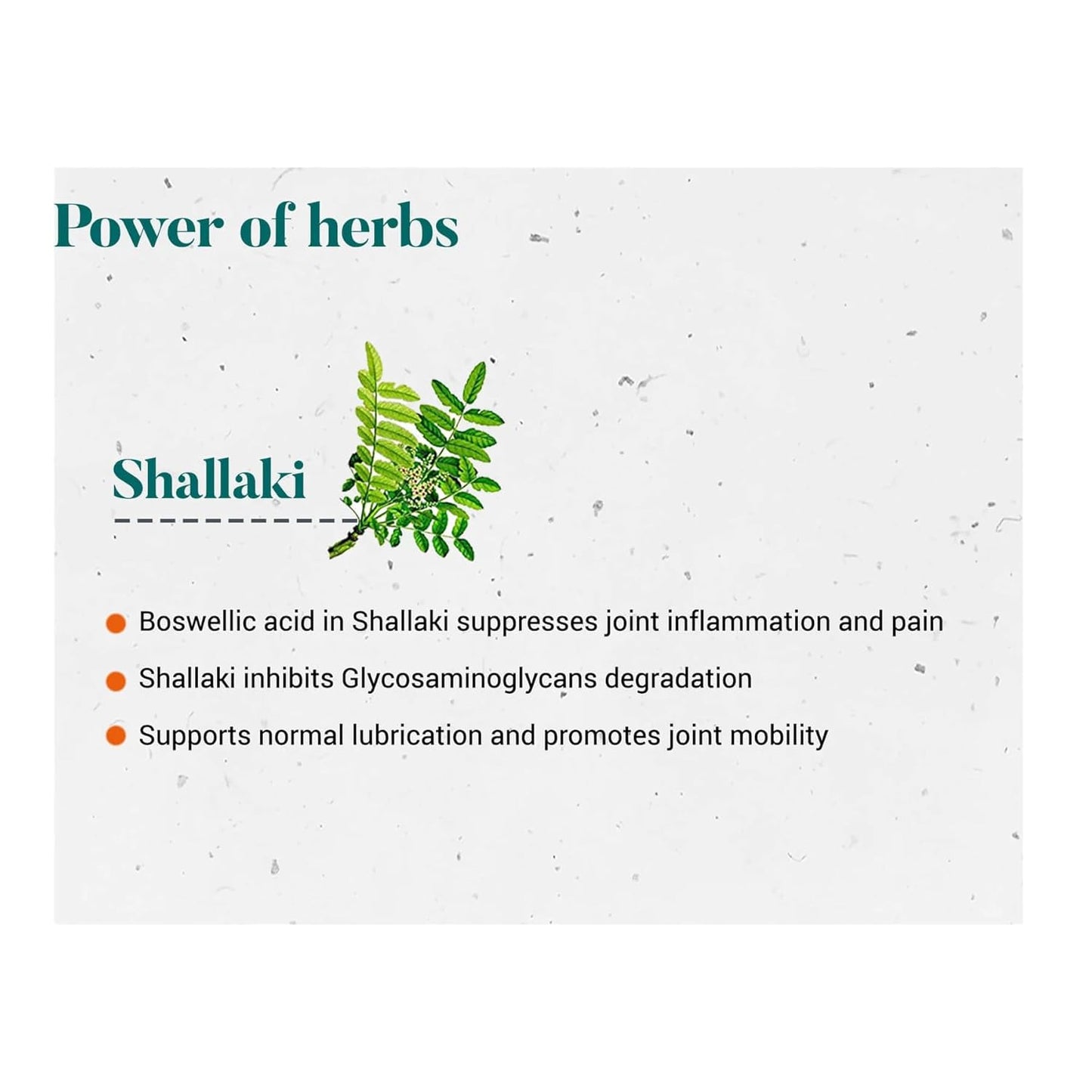 Himalaya Wellness Shallaki Bone & Joint Wellness | Reduces pain and inflammation | Tablets - 60 Count, White