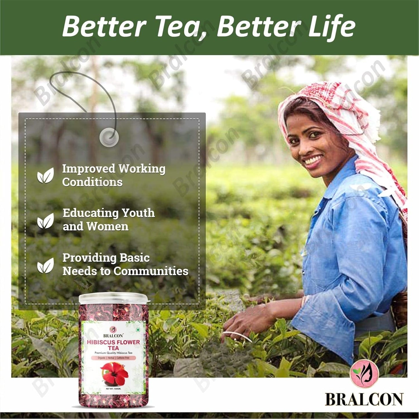 Bralcon Organic Hibiscus Flower Tea- 100 gm | Premium Hibiscus Tea Leaves