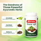 Baidyanath Triphala Churna Powder - 400gm