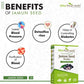 Attar Ayurveda Jamun Seed Powder for Diabetes - 250 grams