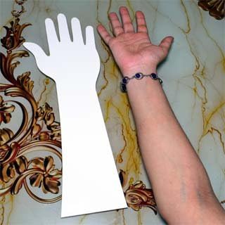 HENNA ART Reusable Acrylic Hand for Mehndi Practice(White)