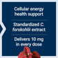 Life Extension Forskolin Capsules, 10 mg, 60-Count