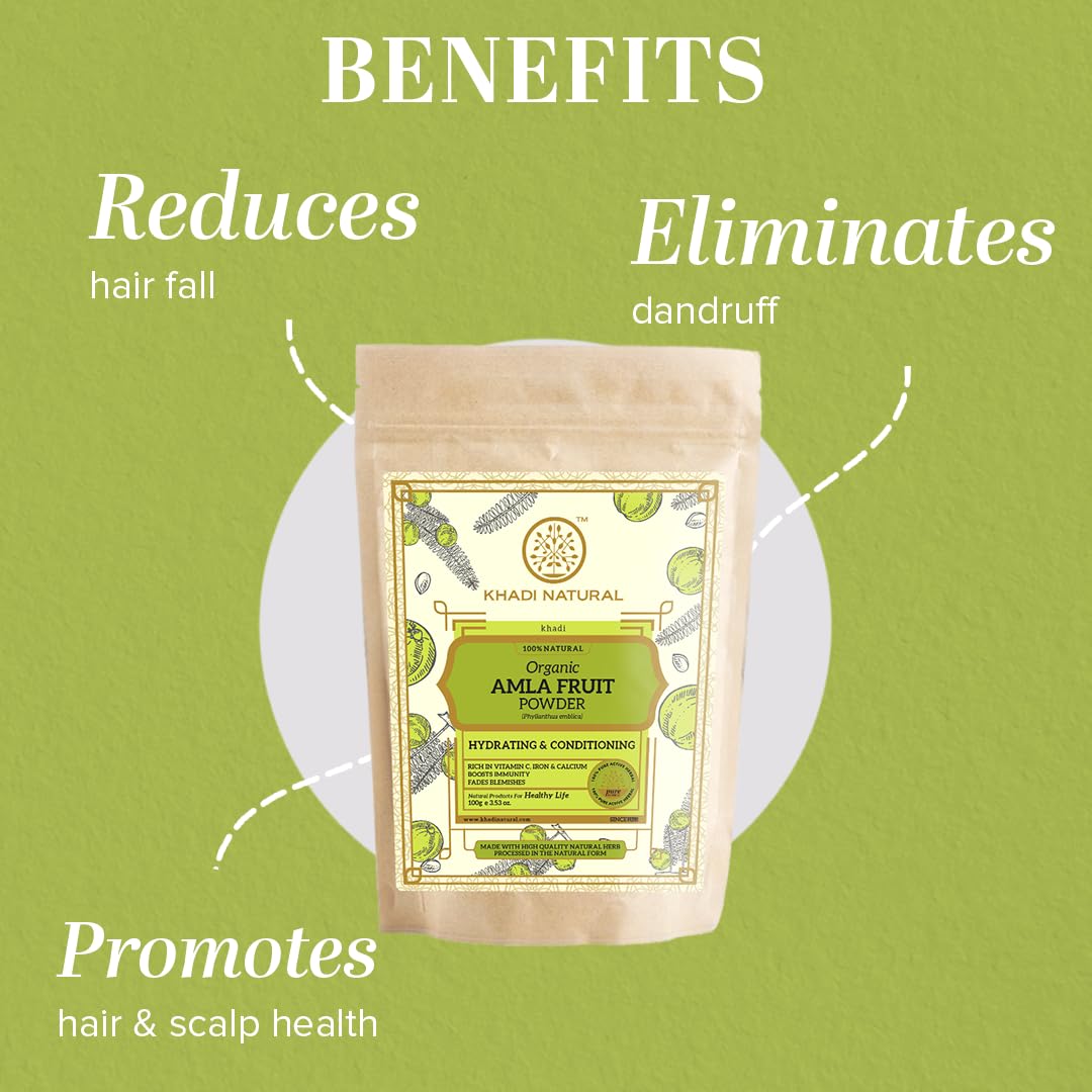 Khadi Natural Amla Fruit Organic Powder, 130 gm