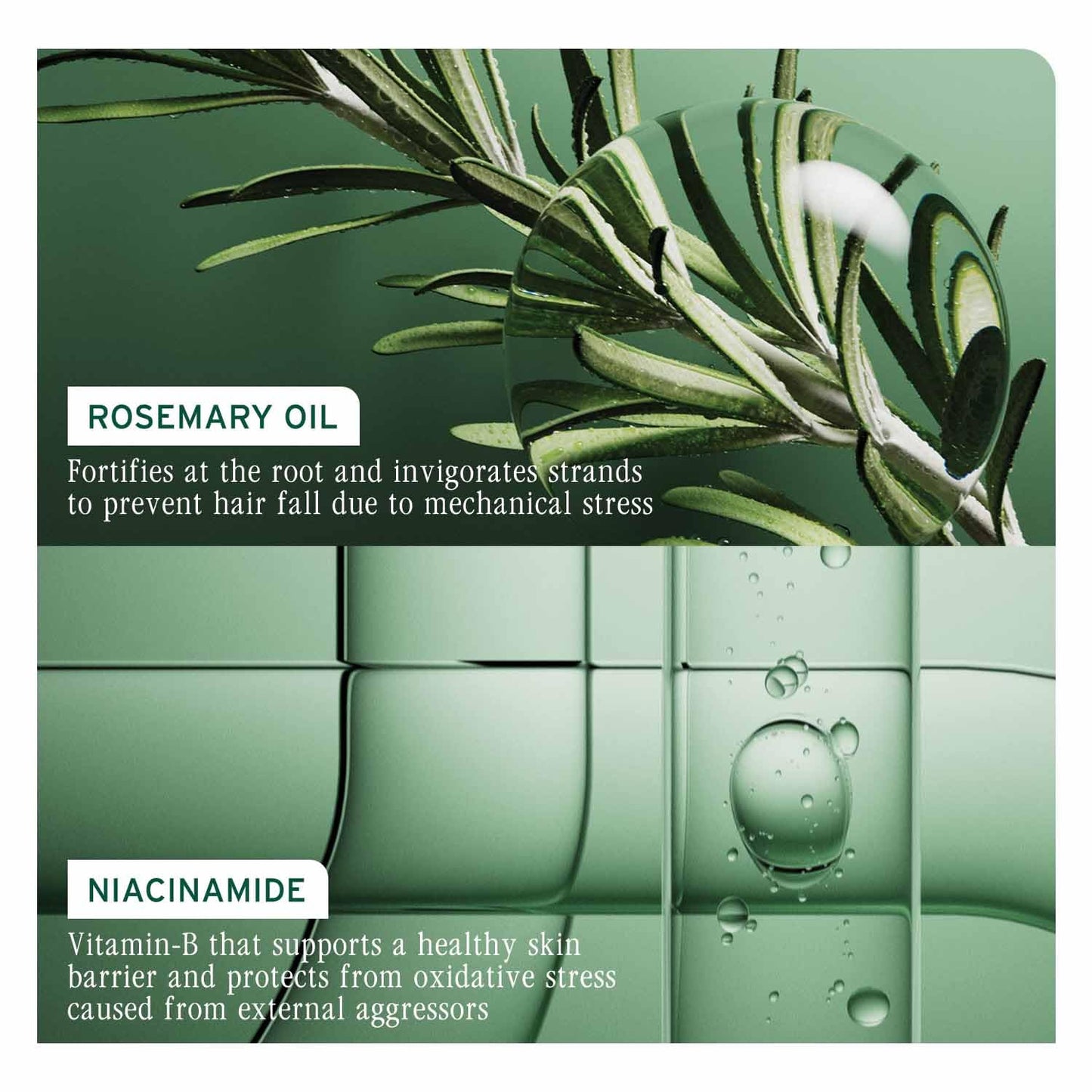 Biolage Full Rescue Anti-Breakage 2-Step Combo Shampoo 200 ml + Conditioner 100 ml