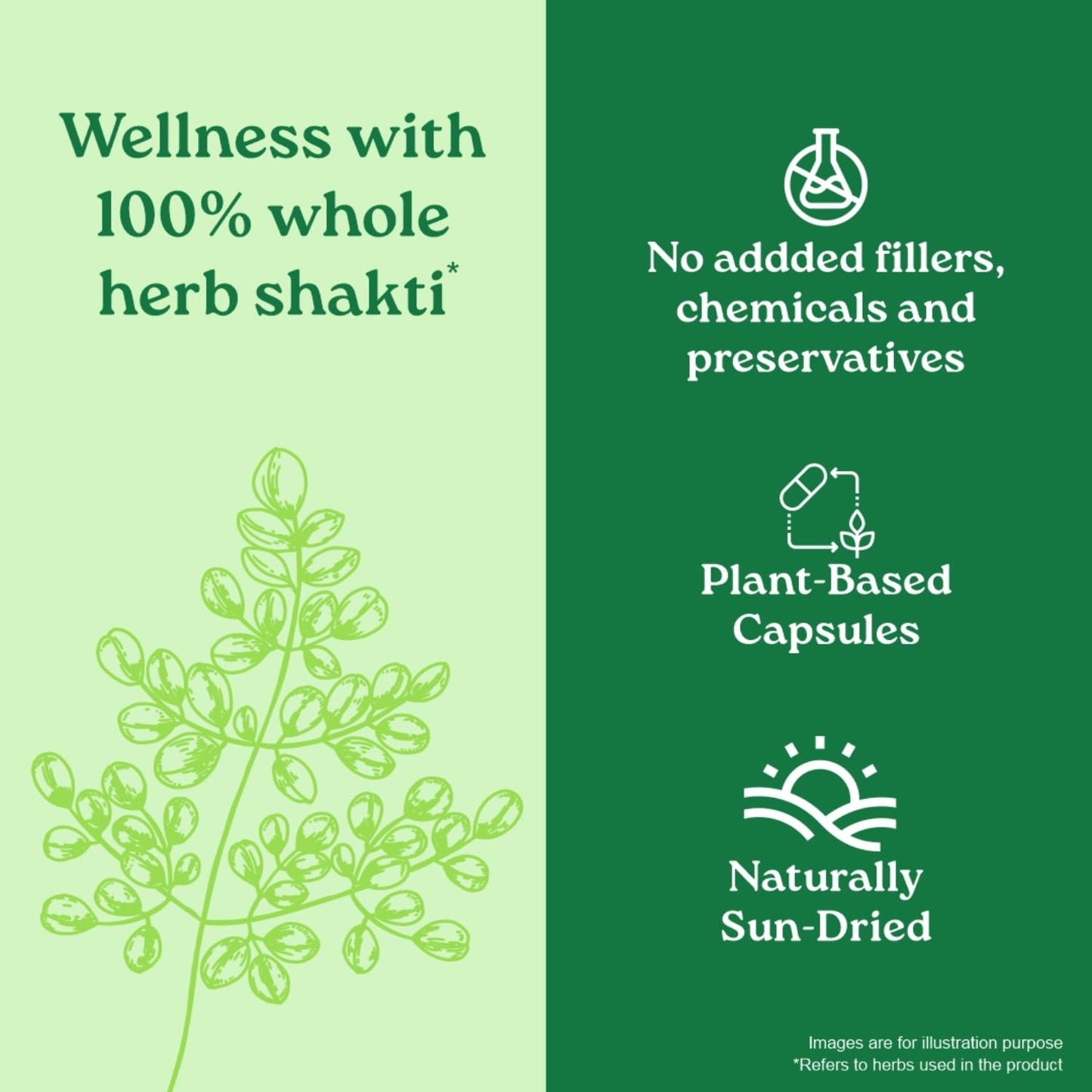 Organic India Moringa Capsules