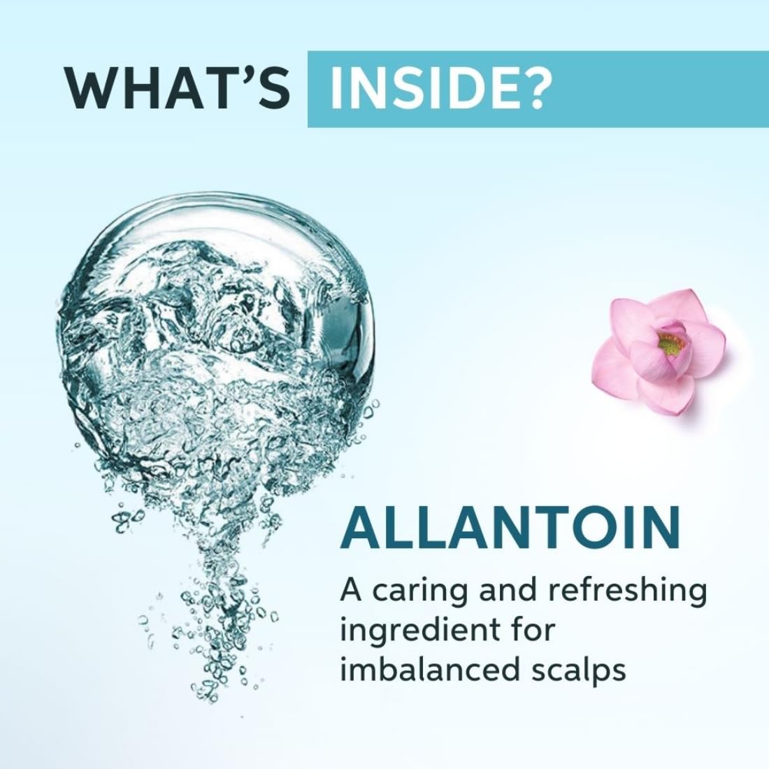 Wella Professionals Invigo Balance Clean Scalp Anti Dandruff Shampoo, 250 ml