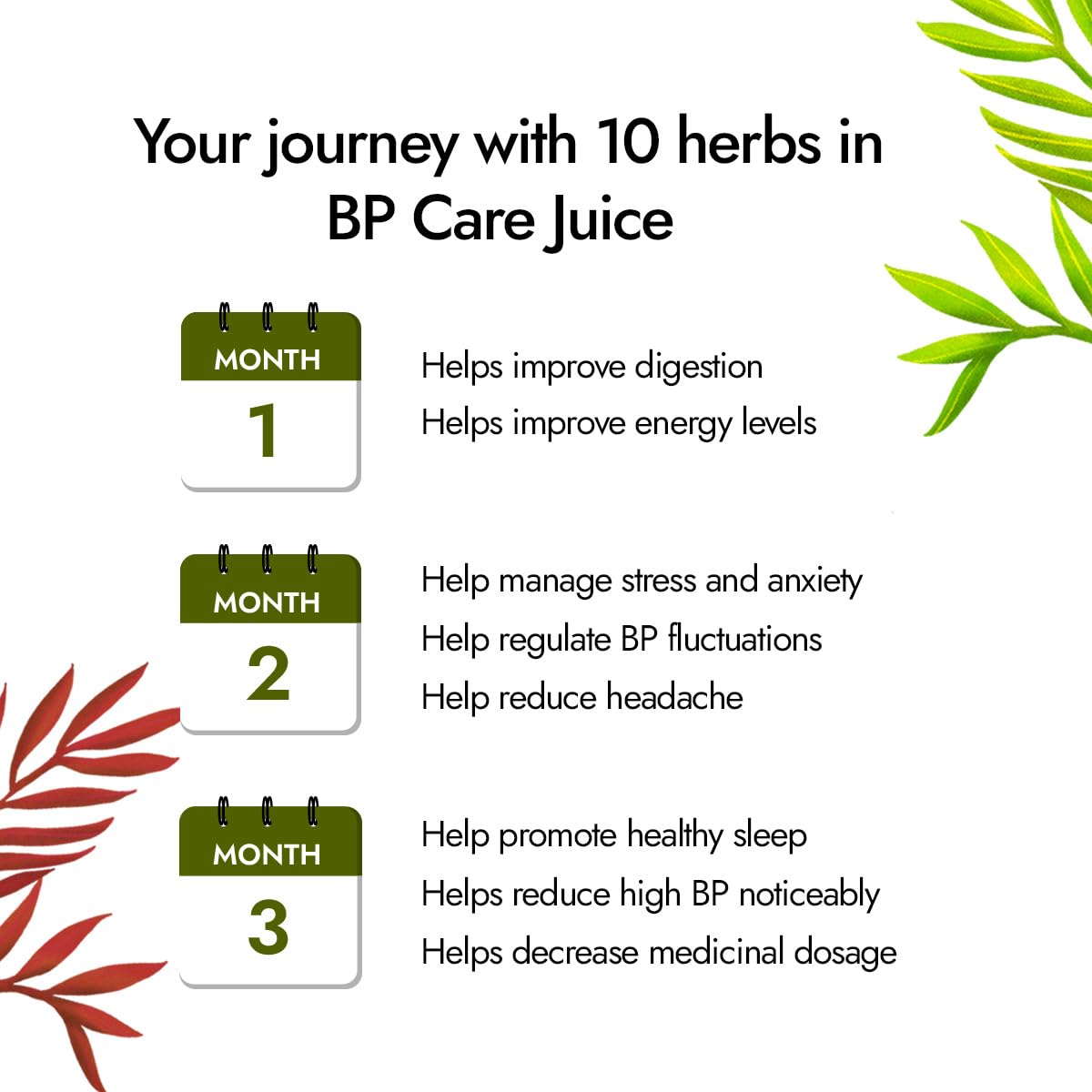 Kapiva BP Care Juice - 100% Ayurvedic Juice for Controlling Blood Pressure & Cholesterol Level | Arjuna, Shankhpushpi & 8 Other Herbs 1 Litre