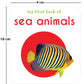 My First Library: Boxset of 10 Board Books for Kids