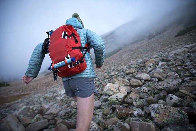 LifeStraw Personal Water Filter for Hiking, Camping, Travel, and Emergency Preparedness