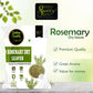 Online Quality Store Rosemary Dry Leaves - 100 gm