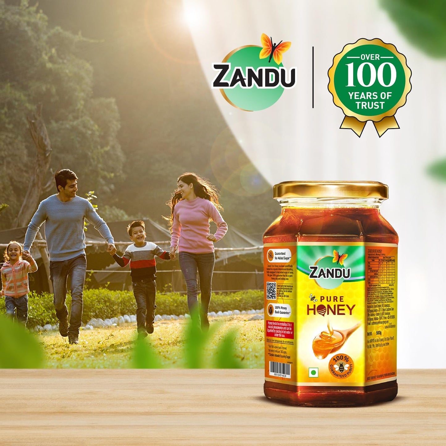 Zandu Pure Honey, No Added Sugar, 500gm