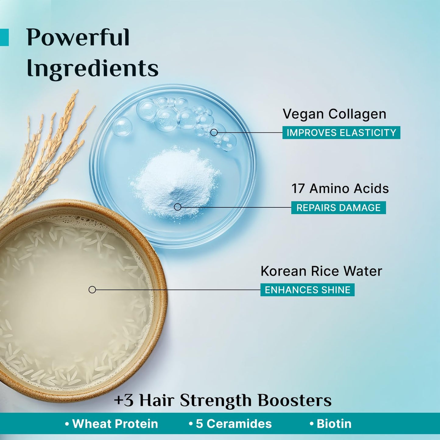 Pilgrim Korean Rice Water & Collagen Advanced Damage Repair Conditioner - 200 ml | With 17 Amino Acids, Wheat Protein & Ceramides