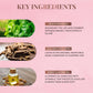Just Herbs Ayurvedic Liquid Lipstick Kit Set of 5, Deeps & Reds, 5 ml