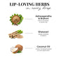 Just Herbs Herb Enriched Matte Liquid Lipstick Set of 4