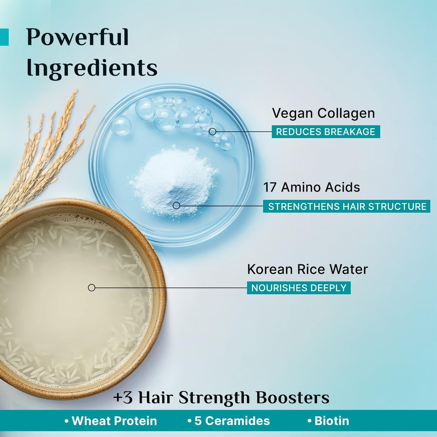 Pilgrim Korean Rice Water & Collagen Advanced Damage Repair Shampoo - 400ml | with 17 Amino Acids, Wheat Protein & 5 Ceramides